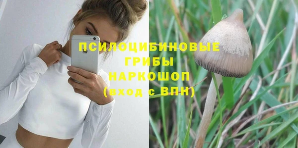 Альфа ПВП Беломорск