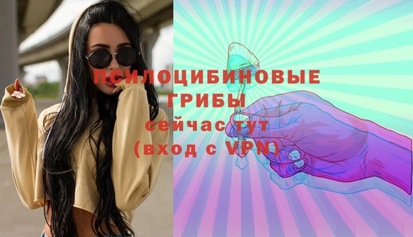 Альфа ПВП Беломорск